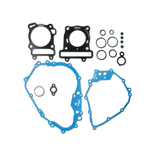 Gioăng máy SK – RAIDER 150 FI – FCP