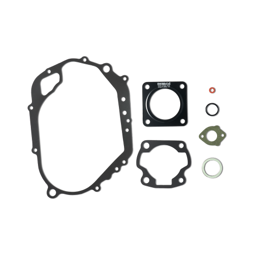 Gioăng máy SK – RGV 120 – FCP