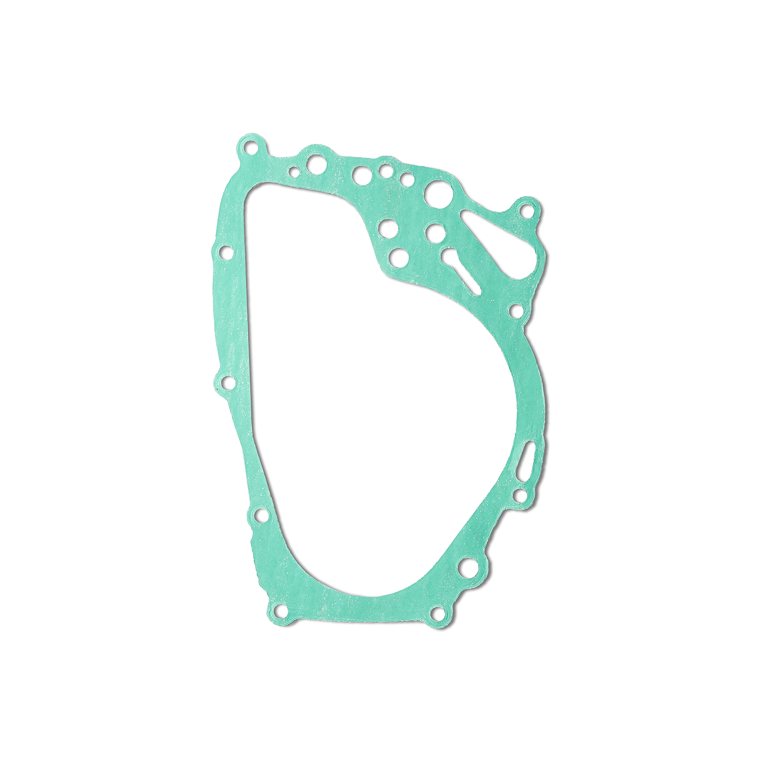 gioang-lua-SK-SHOGUN-125RR-2